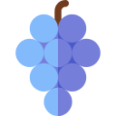 uvas icon