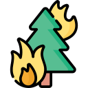 incendio forestal icon