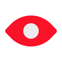 ojo icon