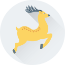 Северный олень 