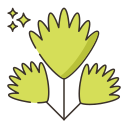 cilantro icon