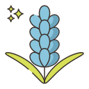 lavanda icon