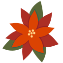 poinsettia 