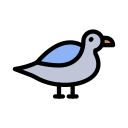 pato icon