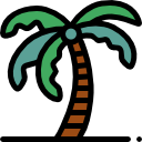 palmera