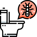 Ants icon