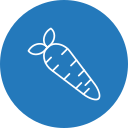 Carrot icon