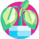 calathea icon