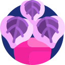 Begônia 