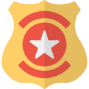 insignia icon