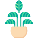 calathea de rayas icon