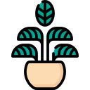 calathea de rayas icon