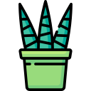 planta de cebra icon