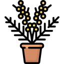 mimosa icon