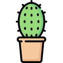 cactus icon