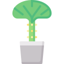 cactus de coral icon