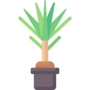 Dracaena icon