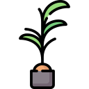 palmera de cocos icon