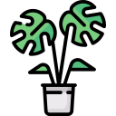 monstera deliciosa icon