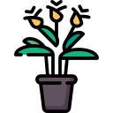 planta de llama eterna icon