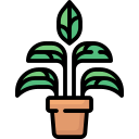 aglaonema icon