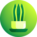 Sansevieria trifasciata icon