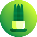 sansevieria cylindrica icon