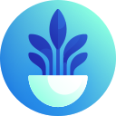 dieffenbachia icon