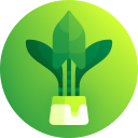 alocasia cebrina icon