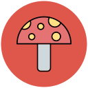 seta icon