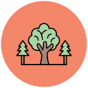 bosque icon