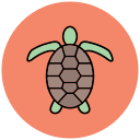 tortuga icon