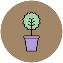 myrtus icon