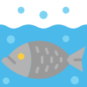 pescado icon