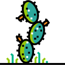 cactus icon