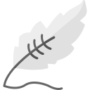 pluma icon