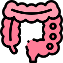 tumor de colon icon