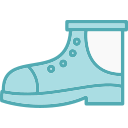 bota icon