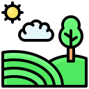 campo icon