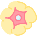 cuerpo lúteo icon