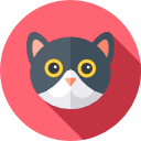 gato icon