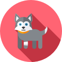 perro icon