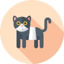 gato icon