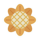 girasol icon