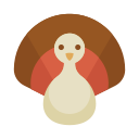 pavo icon