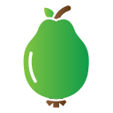 guayaba icon