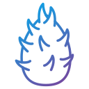 Dragon fruit icon