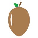 Sapodilla icon