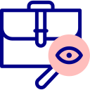 auditoría icon