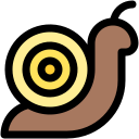 caracol icon